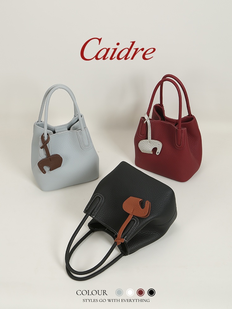 กระเป๋าถือหรูหรา Caidre รุ่น 2 - Luxury Bags Japan บทวิจารณ์และราคา